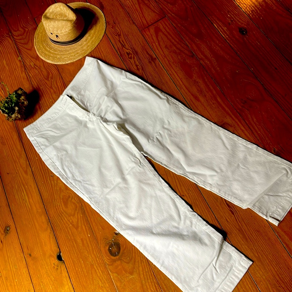 Chico ankle length pants